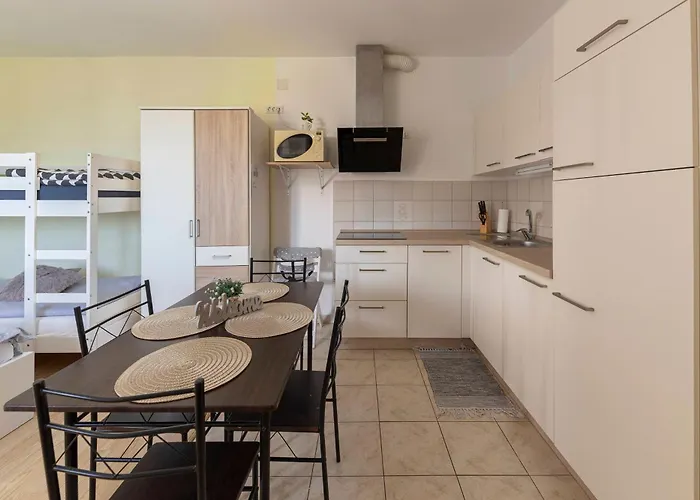 公寓 Apartma Vesna 科佩尔