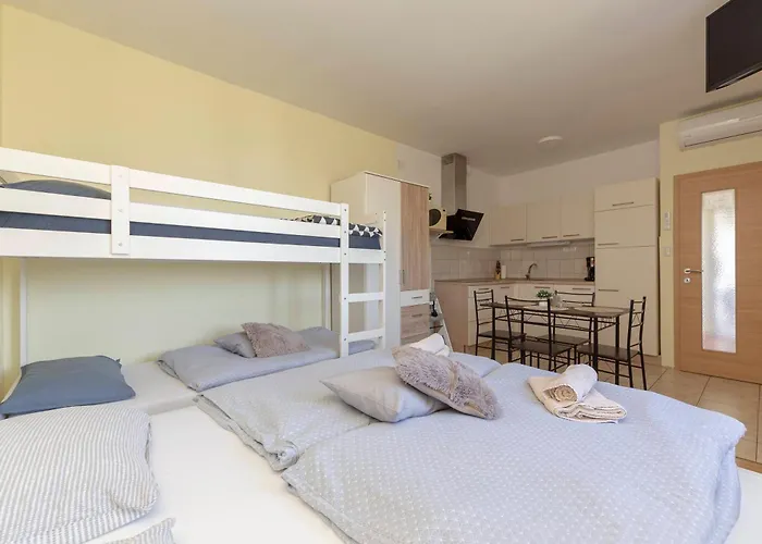 Apartma Vesna 公寓 *